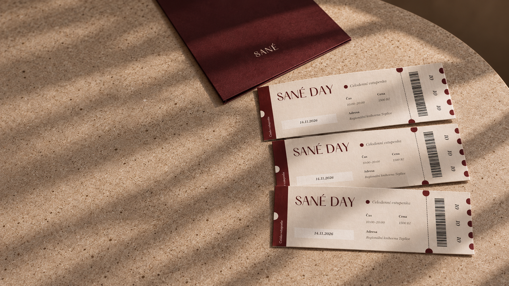 SANÉ Day